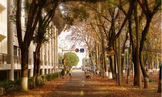 说明: //rcb.mclcp.com/__local/F/DC/AD/26AAF68465C39908E951504ECA2_E70C2E5D_119062.png